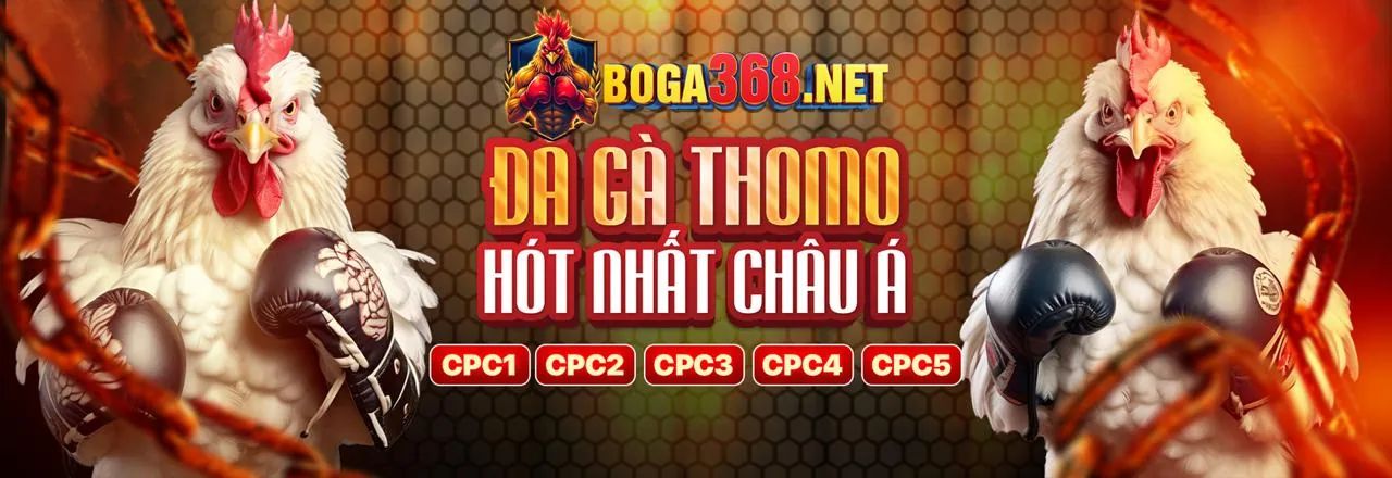 Sân đấu đá gà trực tuyến Kingbet86 đầy kịch tính